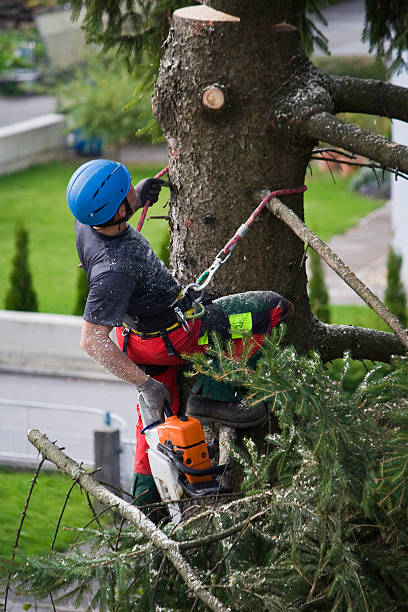 Leaf Removal in Portland, IN